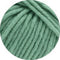 swatch-116 gris-vert